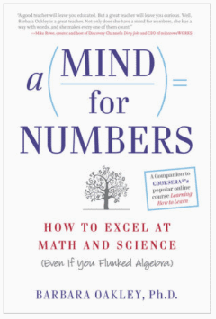 A mind for numbers